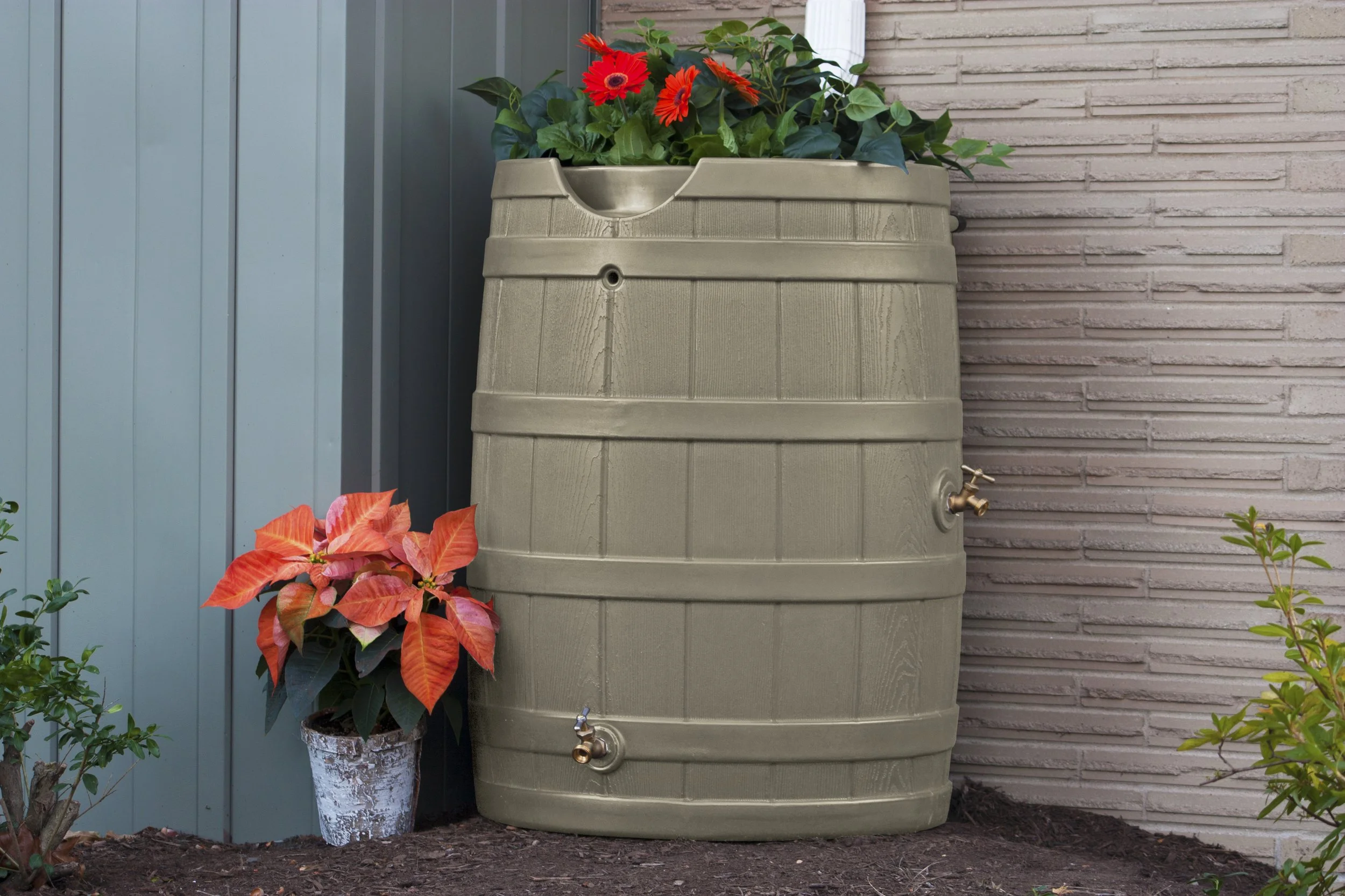 Colorado Rain Catcher